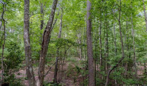 Photo #16 of Main, Locust, NC