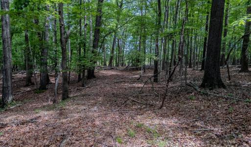 Photo #17 of Main, Locust, NC
