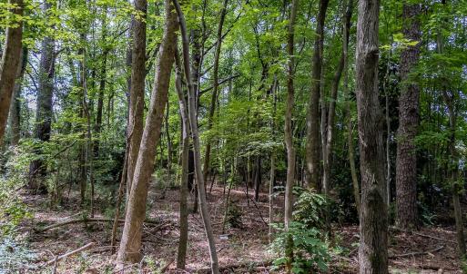 Photo #23 of Main, Locust, NC