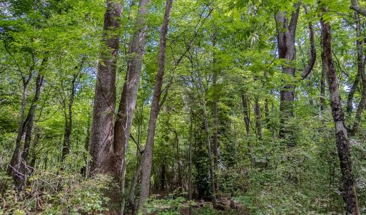 Photo #27 of Main, Locust, NC