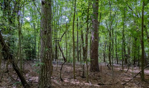 Photo #22 of Main, Locust, NC