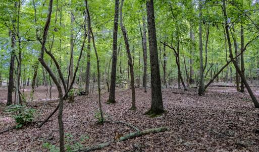 Photo #35 of Main, Locust, NC