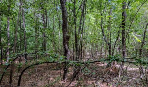 Photo #18 of Main, Locust, NC