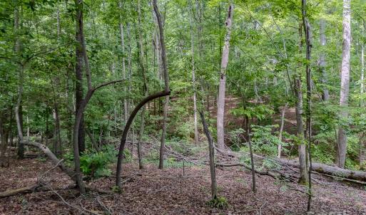 Photo #21 of Main, Locust, NC