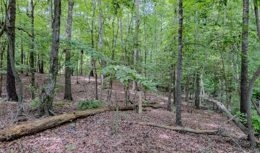 Photo #12 of Main, Locust, NC