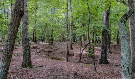 Photo #26 of Main, Locust, NC