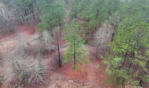 Photo #10 of TBD Deberry, Morven, NC