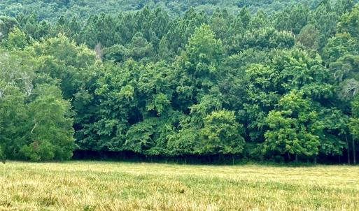 Photo #3 of Stony Gap, Albemarle, NC