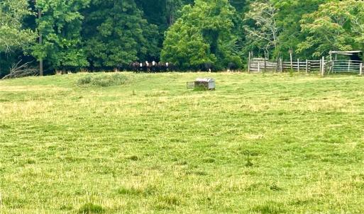 Photo #19 of Stony Gap, Albemarle, NC