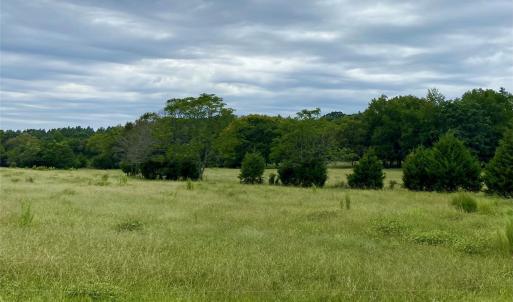 Photo #13 of Stony Gap, Albemarle, NC
