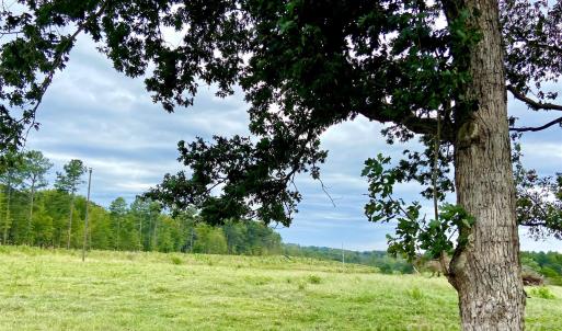 Photo #12 of Stony Gap, Albemarle, NC