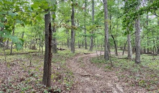 Photo #16 of Stony Gap, Albemarle, NC