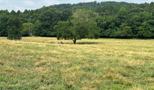 Photo #4 of Stony Gap, Albemarle, NC
