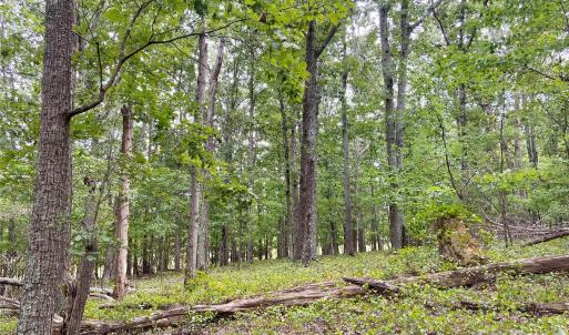 Photo #15 of Stony Gap, Albemarle, NC