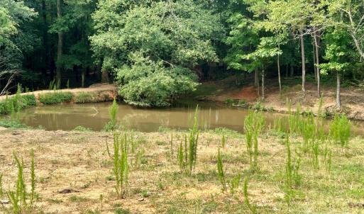 Photo #18 of Stony Gap, Albemarle, NC