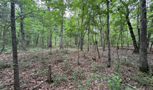 Photo #3 of Reeves Island, Gold Hill, NC