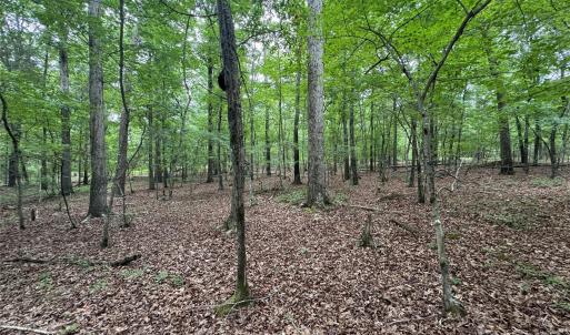 Photo #2 of Reeves Island, Gold Hill, NC