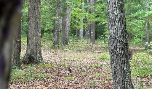 Photo #4 of Reeves Island, Gold Hill, NC