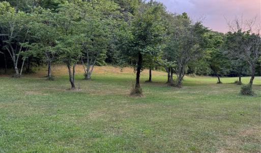 Photo #8 of Vacant Reap, Albemarle, NC
