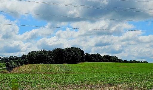 Photo #2 of 1490 Pork, Peachland, NC