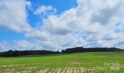 Photo #1 of 1490 Pork, Peachland, NC