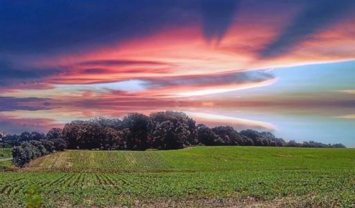 Photo #1 of 1490 Pork, Peachland, NC