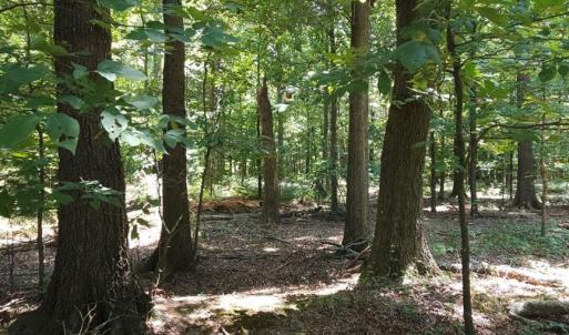 Photo #7 of TBD Traywick, Peachland, NC