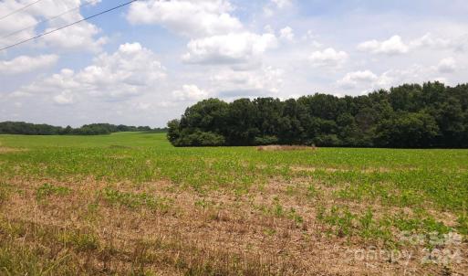Photo #8 of TBD Traywick, Peachland, NC