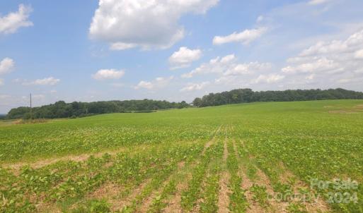 Photo #2 of TBD Traywick, Peachland, NC