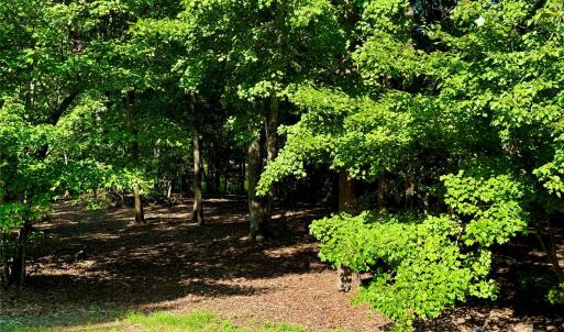 Photo #3 of 142 Long, New London, NC