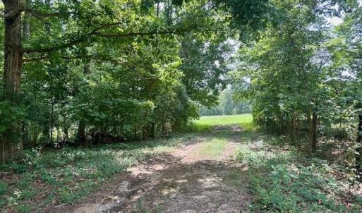 Photo #5 of Heglar, China Grove, NC