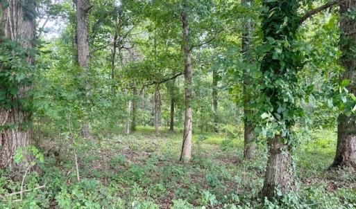 Photo #14 of Heglar, China Grove, NC