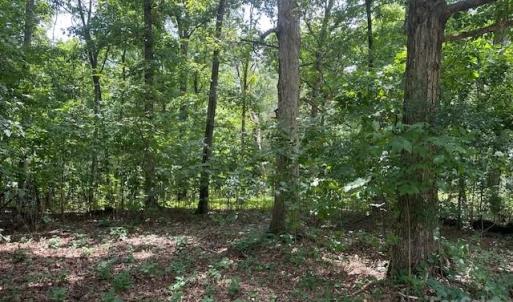 Photo #12 of Heglar, China Grove, NC