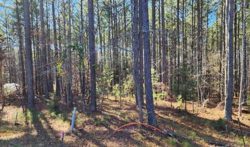 Photo #3 of 3331 Sherman, Lancaster, SC