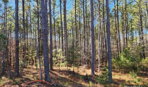 Photo #4 of 3331 Sherman, Lancaster, SC