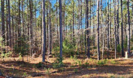 Photo #2 of 3331 Sherman, Lancaster, SC