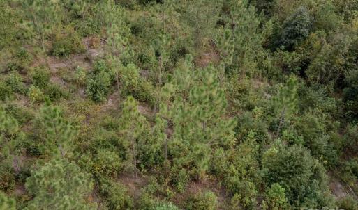 Photo #18 of 110 Haywood Cemetery, Rockingham, NC