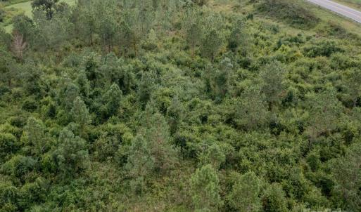 Photo #13 of 110 Haywood Cemetery, Rockingham, NC