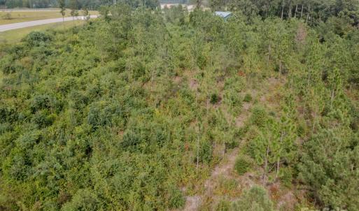 Photo #4 of 110 Haywood Cemetery, Rockingham, NC