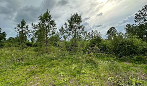 Photo #8 of 110 Haywood Cemetery, Rockingham, NC