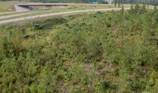 Photo #15 of 110 Haywood Cemetery, Rockingham, NC