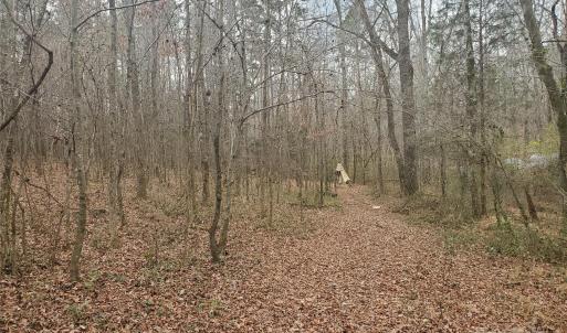 Photo #8 of 16433 Silver, Oakboro, NC