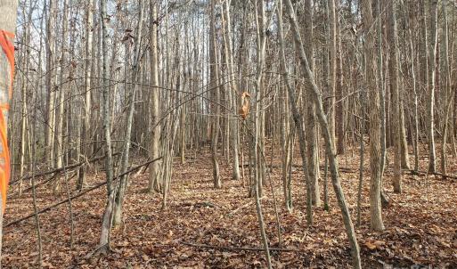 Photo #4 of 16433 Silver, Oakboro, NC