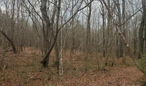 Photo #6 of 16433 Silver, Oakboro, NC