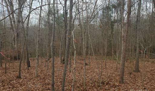 Photo #5 of 16433 Silver, Oakboro, NC