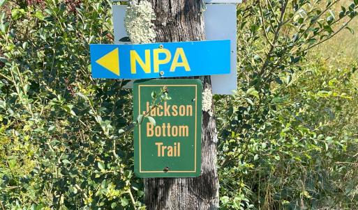 Photo #9 of Pacolet, Landrum, SC