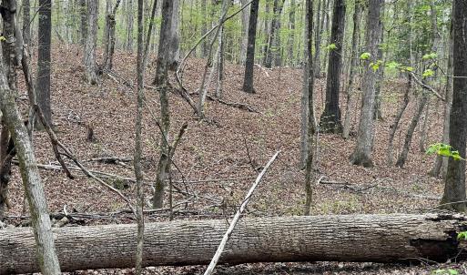 Photo #7 of 2390 Baron Dekalb, Camden, SC