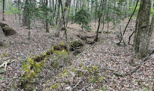 Photo #4 of 2390 Baron Dekalb, Camden, SC