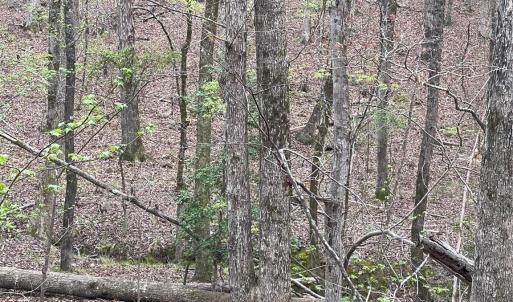 Photo #6 of 2390 Baron Dekalb, Camden, SC