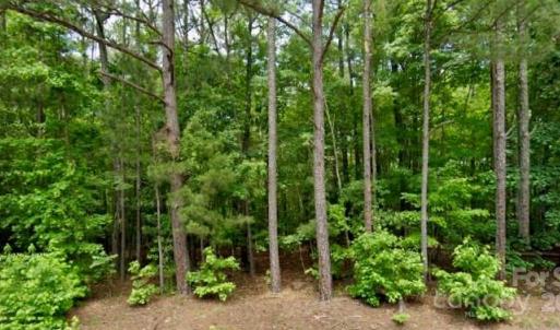 Photo #1 of 2390 Baron Dekalb, Camden, SC